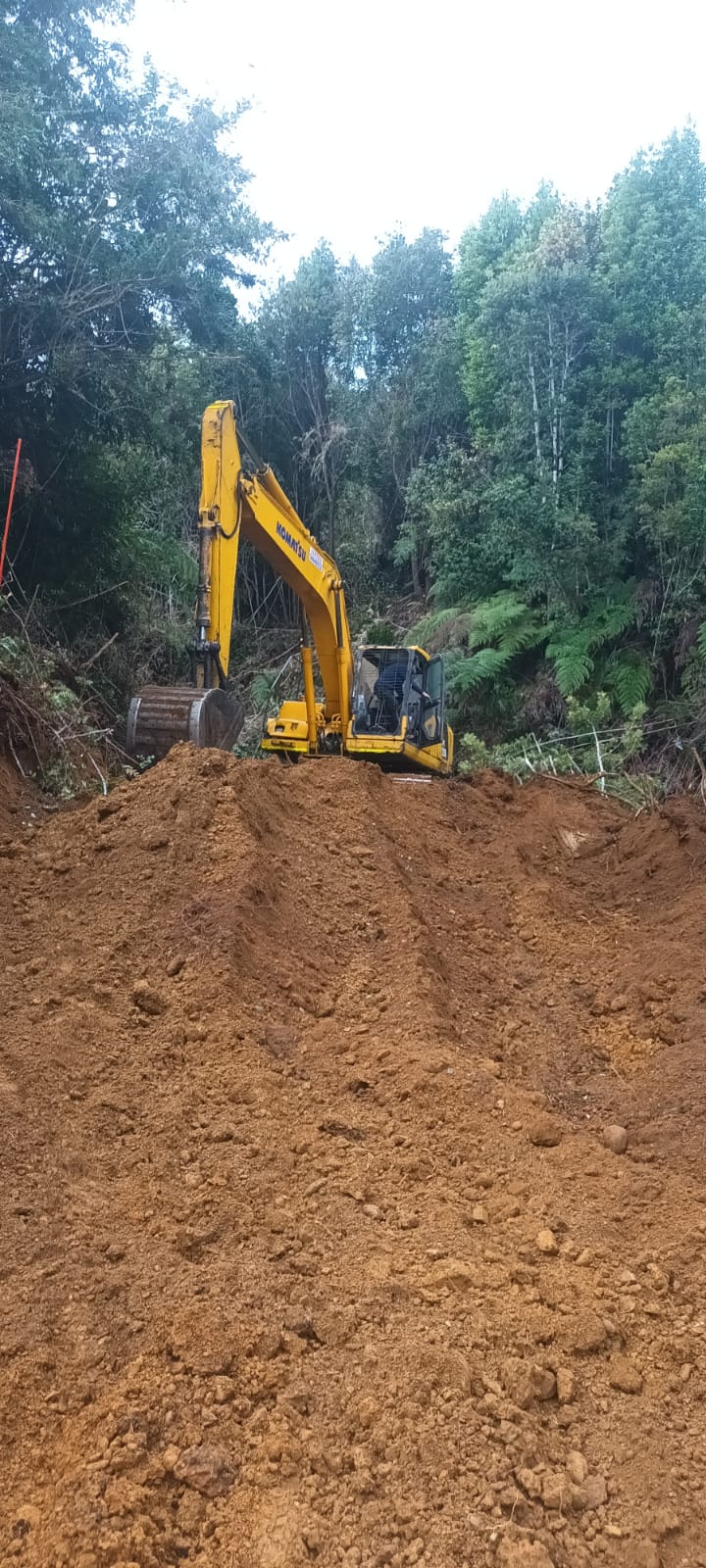 ABRIENDO CAMINO PROY LOTEO ESTAQUILLA