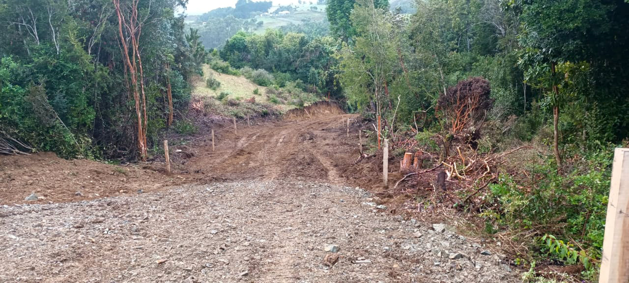 CAMINOS ESTAQUILLA 2